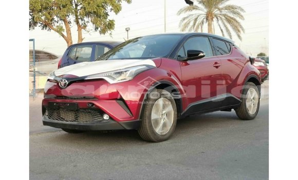 Buy Import Toyota C-HR Red Car in Import - Dubai in Abia State Buy Import Toyota C-HR Red Car in Import - Dubai in Abia State