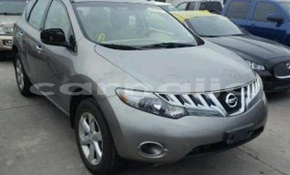 Acheter Neuf Voiture Nissan Murano Gris à Abuja, État de Lagos Acheter Neuf Voiture Nissan Murano Gris à Abuja, État de Lagos