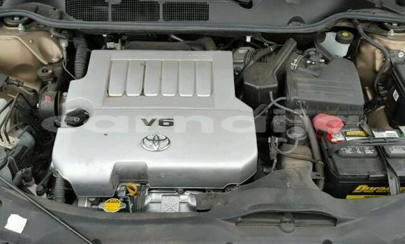 Buy Used Toyota Venza Beige Car in Kaduna in Kaduna State Buy Used Toyota Venza Beige Car in Kaduna in Kaduna State