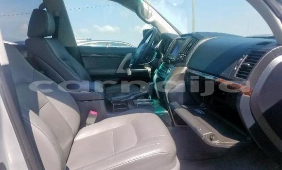 Buy Used Toyota FJ Cruiser Silver Car in Warri in Delta State Buy Used Toyota FJ Cruiser Silver Car in Warri in Delta State