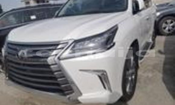 Buy New Lexus RX 350 White Car in Aba in Abia State