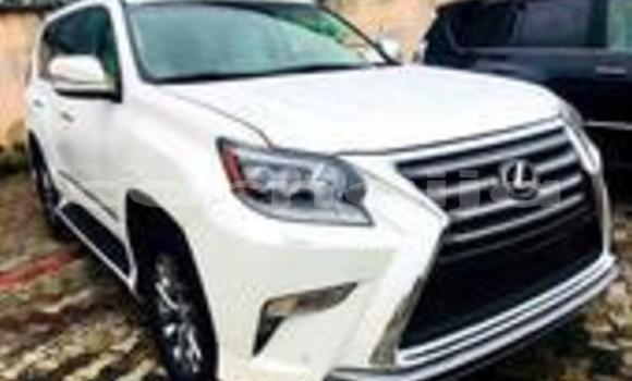 Acheter Neuf Voiture Lexus RX 350 Blanc à Aba, État d'Abia Acheter Neuf Voiture Lexus RX 350 Blanc à Aba, État d'Abia