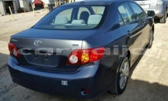 Buy New Toyota Corolla Blue Car in Port Harcourt in Rivers State Buy New Toyota Corolla Blue Car in Port Harcourt in Rivers State