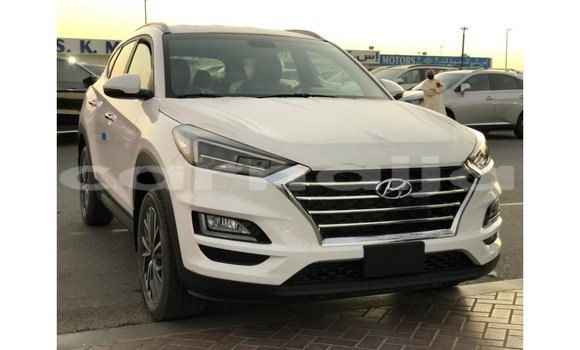 Acheter Import Voiture Hyundai Tucson Blanc à Import - Dubai, État d'Abia Acheter Import Voiture Hyundai Tucson Blanc à Import - Dubai, État d'Abia