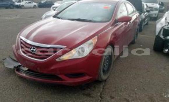 Acheter Neuf Voiture Hyundai Sonata Rouge à Enugu Ngwo, Enugu