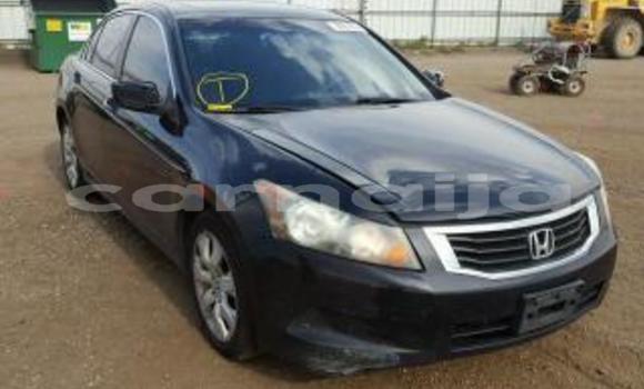 Buy New Honda Accord Black Car in Akwukwu–Igbo in Delta State