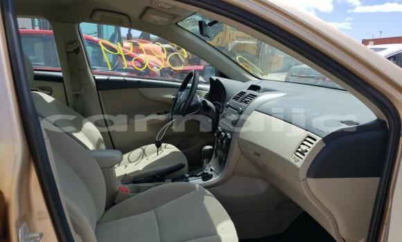 Acheter Import Voiture Toyota Corolla Autre à Abeokuta, État d'Ogun Acheter Import Voiture Toyota Corolla Autre à Abeokuta, État d'Ogun