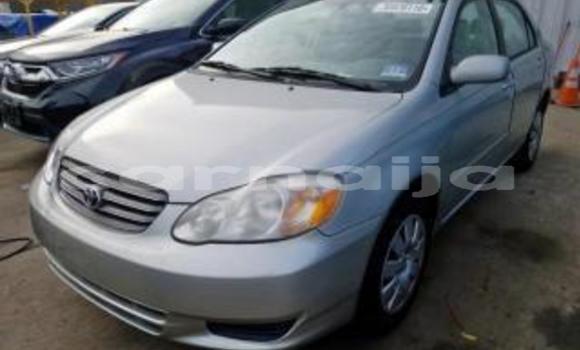 Acheter Neuf Voiture Toyota Corolla Gris à Port Harcourt, Rivers State Acheter Neuf Voiture Toyota Corolla Gris à Port Harcourt, Rivers State