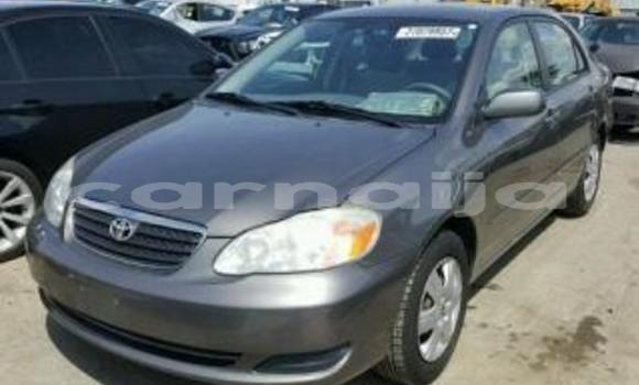 Acheter Neuf Voiture Toyota Corolla Blanc à Port Harcourt, Rivers State Acheter Neuf Voiture Toyota Corolla Blanc à Port Harcourt, Rivers State