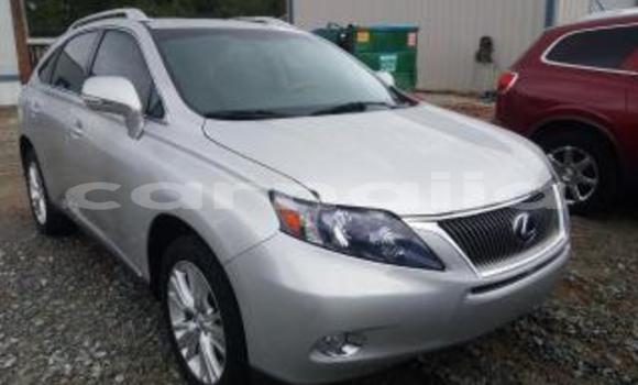 Buy New Lexus RX 350 Silver Car in Benin City in Edo Buy New Lexus RX 350 Silver Car in Benin City in Edo
