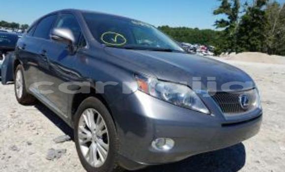 Buy New Lexus RX 350 Silver Car in Benin City in Edo Buy New Lexus RX 350 Silver Car in Benin City in Edo