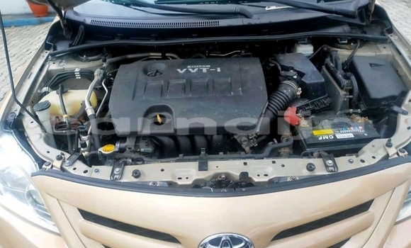 Acheter Neuf Voiture Toyota Corolla Marron à Ikeja, État de Lagos Acheter Neuf Voiture Toyota Corolla Marron à Ikeja, État de Lagos