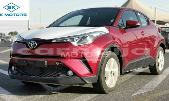 Buy Import Toyota C-HR Red Car in Import - Dubai in Abia State Buy Import Toyota C-HR Red Car in Import - Dubai in Abia State