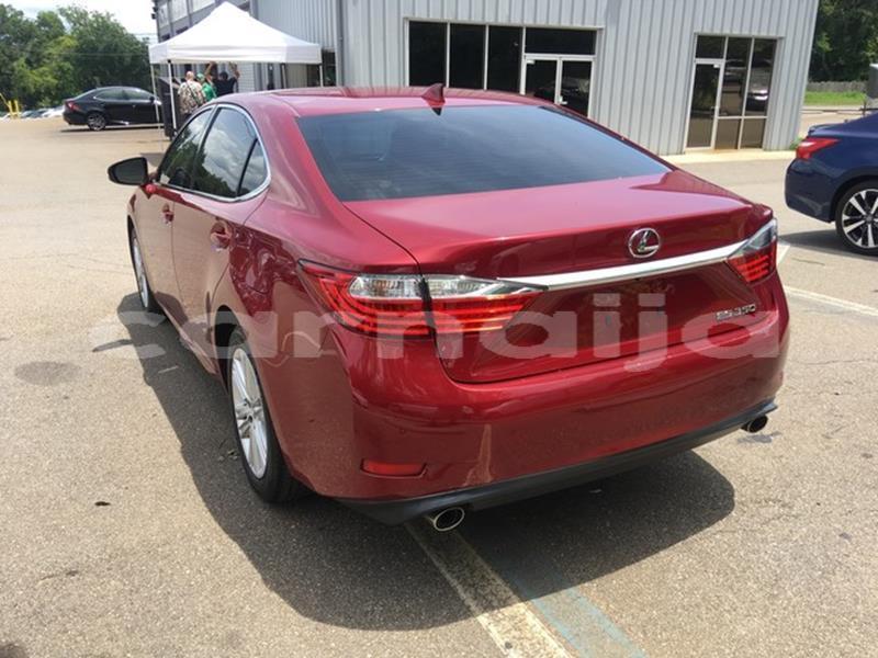 Big with watermark 1348444478