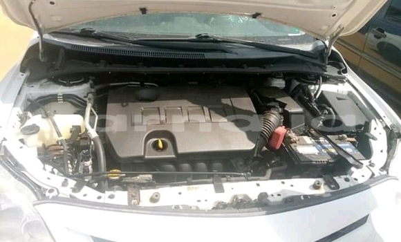 Buy Used Toyota Corolla White Car in Abuja in Lagos State Buy Used Toyota Corolla White Car in Abuja in Lagos State