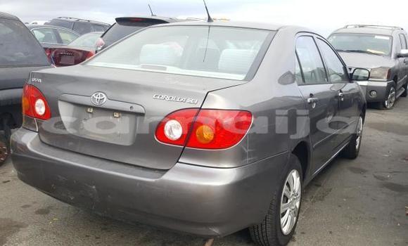 Acheter Neuf Voiture Toyota Corolla Gris à Badagry, État de Lagos Acheter Neuf Voiture Toyota Corolla Gris à Badagry, État de Lagos