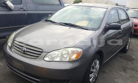 Acheter Neuf Voiture Toyota Corolla Gris à Badagry, État de Lagos Acheter Neuf Voiture Toyota Corolla Gris à Badagry, État de Lagos