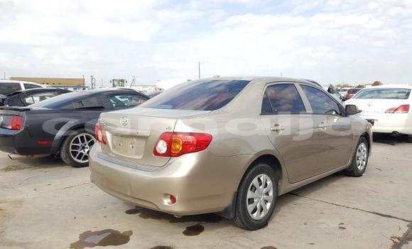 Acheter Neuf Voiture Toyota Corolla Gris à Badagry, État de Lagos Acheter Neuf Voiture Toyota Corolla Gris à Badagry, État de Lagos