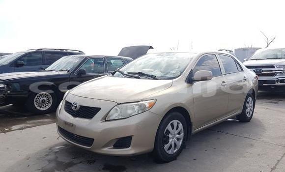 Acheter Neuf Voiture Toyota Corolla Gris à Badagry, État de Lagos Acheter Neuf Voiture Toyota Corolla Gris à Badagry, État de Lagos