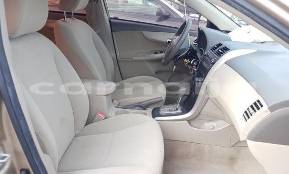 Acheter Neuf Voiture Toyota Corolla Gris à Badagry, État de Lagos Acheter Neuf Voiture Toyota Corolla Gris à Badagry, État de Lagos