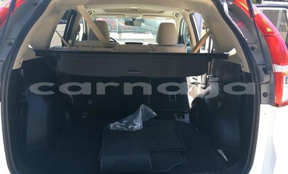 Acheter Import Voiture Honda CR–V Blanc à Abuja, État de Lagos Acheter Import Voiture Honda CR–V Blanc à Abuja, État de Lagos