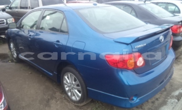 Buy New Toyota Corolla Blue Car in Port Harcourt in Rivers State Buy New Toyota Corolla Blue Car in Port Harcourt in Rivers State