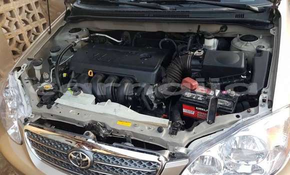 Acheter Neuf Voiture Toyota Corolla Gris à Port Harcourt, Rivers State Acheter Neuf Voiture Toyota Corolla Gris à Port Harcourt, Rivers State