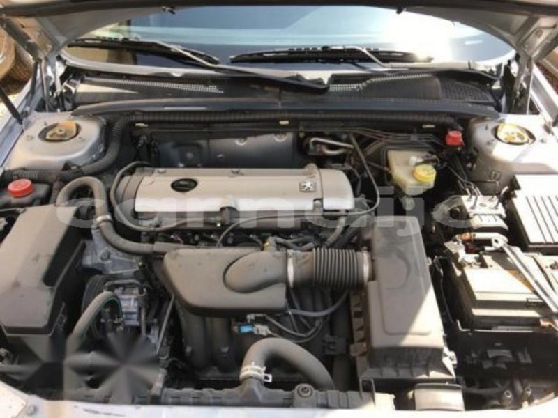 Big with watermark b0effab3 3 1c74