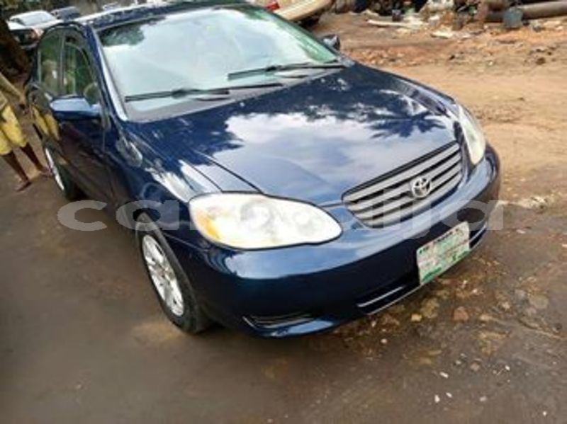 Big with watermark 61688024 1703215076448061 8149315696694657024 n