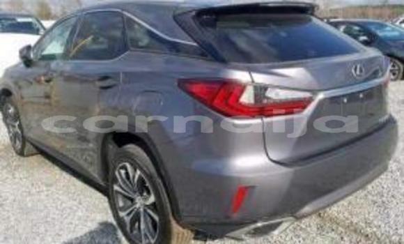 Acheter Neuf Voiture Lexus RX 350 Blanc à Benin City, Edo Acheter Neuf Voiture Lexus RX 350 Blanc à Benin City, Edo