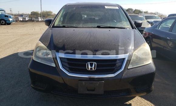 Acheter Occasion Voiture Honda Odyssey Beige à Lagos, État de Lagos