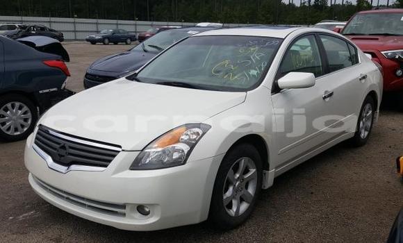 Buy New Nissan Altima White Car in Aba in Abia State Buy New Nissan Altima White Car in Aba in Abia State