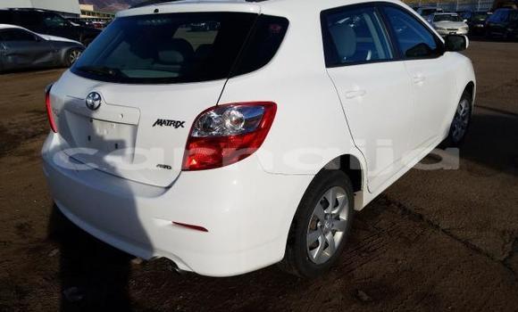 Acheter Neuf Voiture Toyota Matrix Blanc à Abuja, État de Lagos Acheter Neuf Voiture Toyota Matrix Blanc à Abuja, État de Lagos