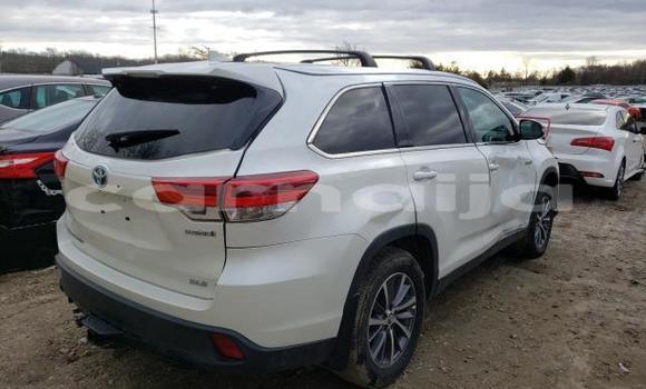 Acheter Neuf Voiture Toyota Highlander Blanc à Akure, État d'Ondo Acheter Neuf Voiture Toyota Highlander Blanc à Akure, État d'Ondo