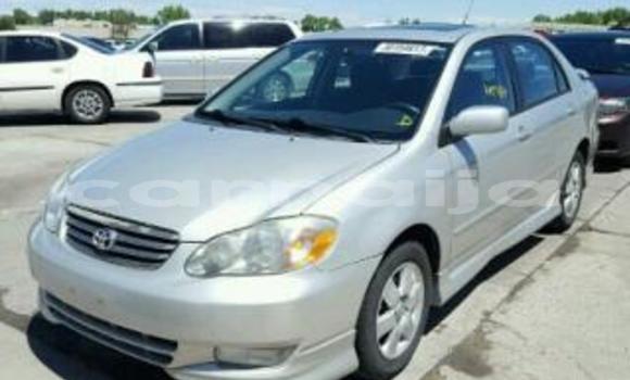Acheter Neuf Voiture Toyota Corolla Gris à Lagos, État de Lagos Acheter Neuf Voiture Toyota Corolla Gris à Lagos, État de Lagos