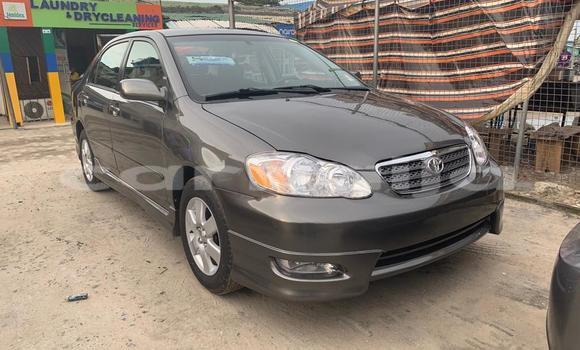 Buy New Toyota Corolla Beige Car in Lagos in Lagos State