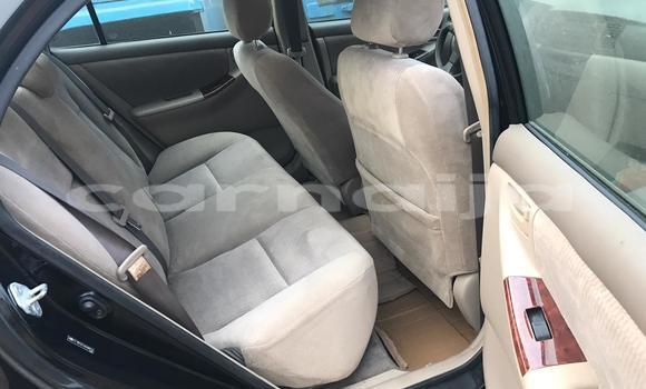 Acheter Neuf Voiture Toyota Corolla Noir à Lagos, État de Lagos Acheter Neuf Voiture Toyota Corolla Noir à Lagos, État de Lagos