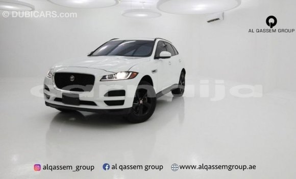Buy Import Jaguar F-Pace White Car in Import - Dubai in Abia State Buy Import Jaguar F-Pace White Car in Import - Dubai in Abia State