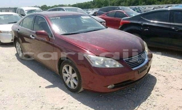 Acheter Neuf Voiture Lexus RX 350 Rouge à Lagos, État de Lagos Acheter Neuf Voiture Lexus RX 350 Rouge à Lagos, État de Lagos
