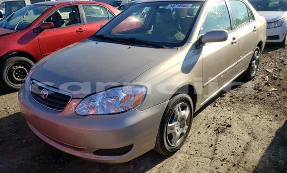 Buy Used Toyota Corolla Beige Car in Warri in Delta State