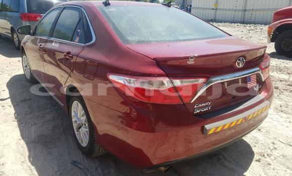 Buy Used Toyota Corolla Red Car in Lagos in Lagos State
