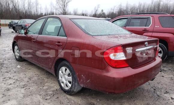 Acheter Neuf Voiture Toyota Camry Rouge à Badagry, État de Lagos Acheter Neuf Voiture Toyota Camry Rouge à Badagry, État de Lagos