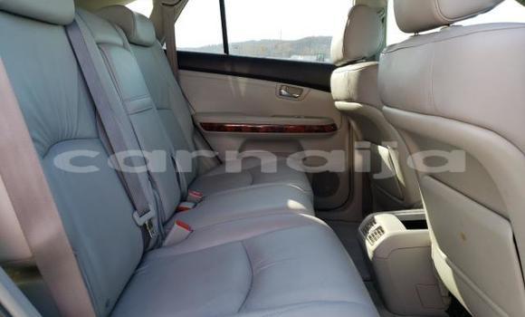 Acheter Import Voiture Lexus RX 330 Gris à Abuja, État de Lagos Acheter Import Voiture Lexus RX 330 Gris à Abuja, État de Lagos