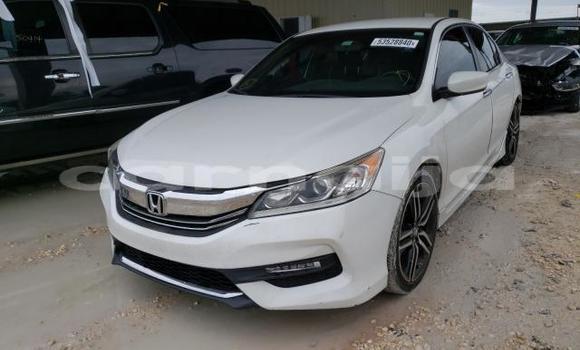 Buy New Honda Accord White Car in Damaturu in Yobe State Buy New Honda Accord White Car in Damaturu in Yobe State