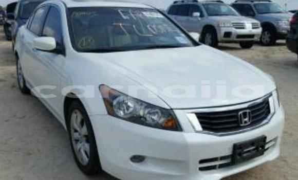 Buy New Honda Accord White Car in Damaturu in Yobe State