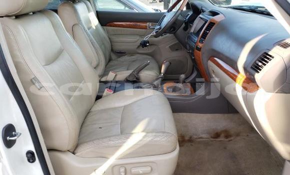 Buy New Lexus GX White Car in Badagry in Lagos State Buy New Lexus GX White Car in Badagry in Lagos State