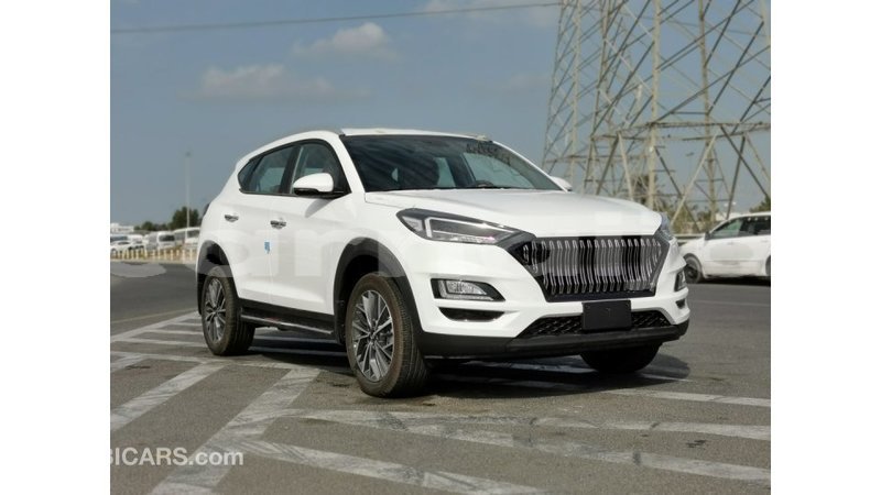Big with watermark hyundai tucson abia state import dubai 11524