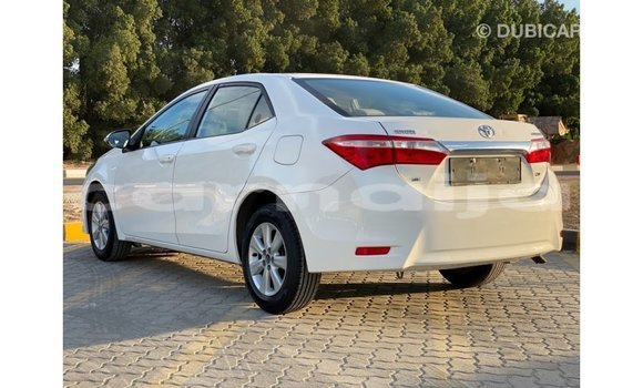 Buy Import Toyota Corolla White Car in Import - Dubai in Abia State Buy Import Toyota Corolla White Car in Import - Dubai in Abia State