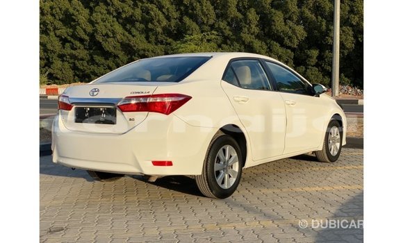 Buy Import Toyota Corolla White Car in Import - Dubai in Abia State Buy Import Toyota Corolla White Car in Import - Dubai in Abia State