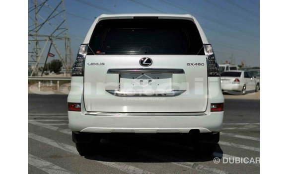 Acheter Import Voiture Lexus GX Blanc à Import - Dubai, État d'Abia Acheter Import Voiture Lexus GX Blanc à Import - Dubai, État d'Abia